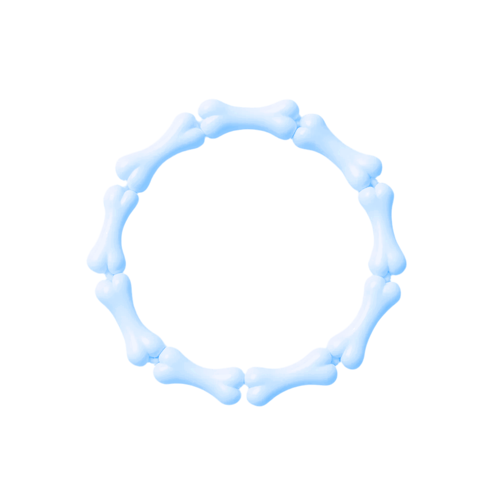 BLUE BONE BRACELET