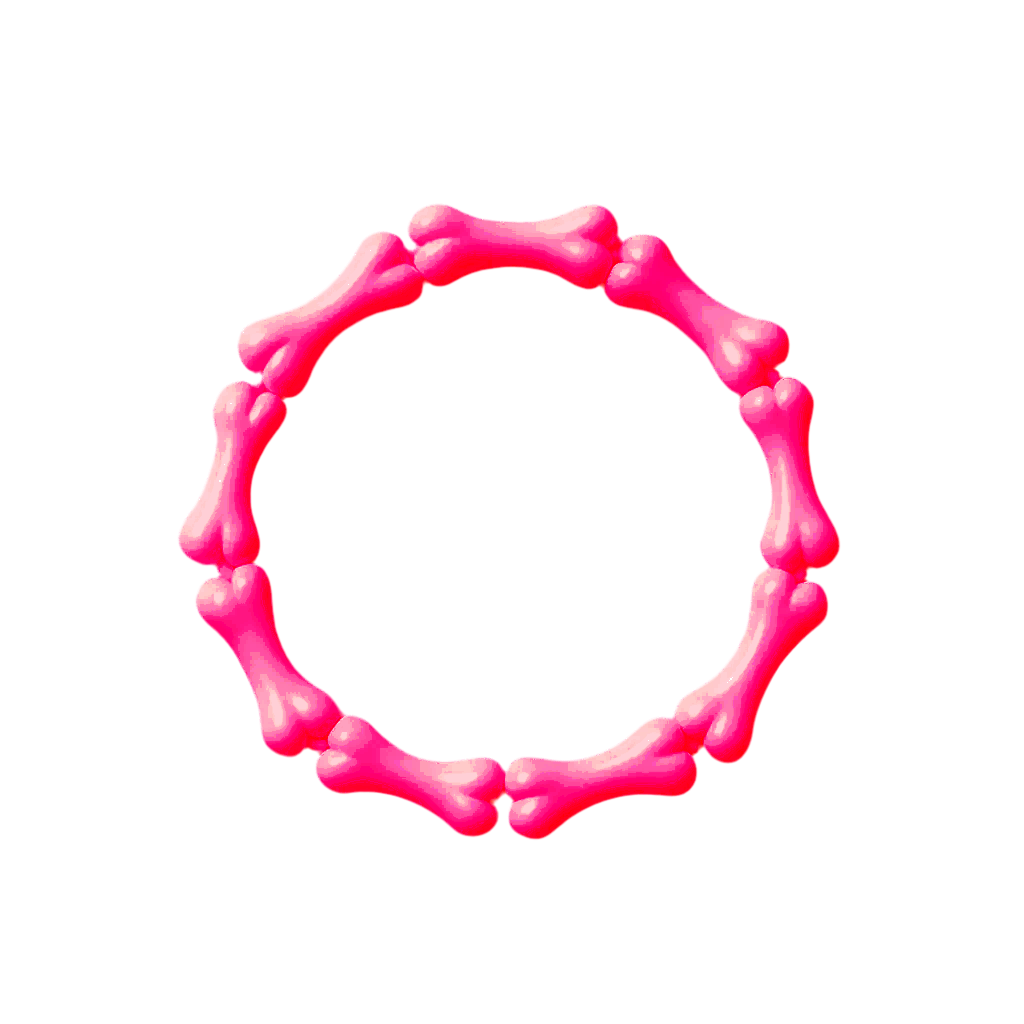 HOT PINK BONE BRACELET