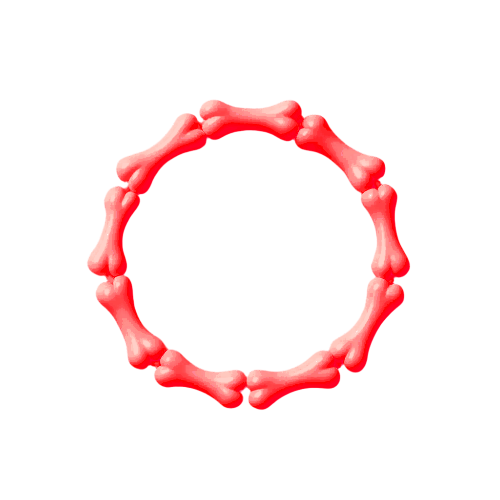 RED BONE BRACELET